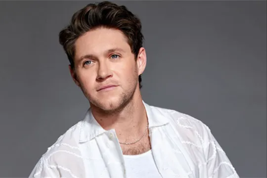 Is Niall Horan a Gay? Bio, Career, Personal life And More Information ...