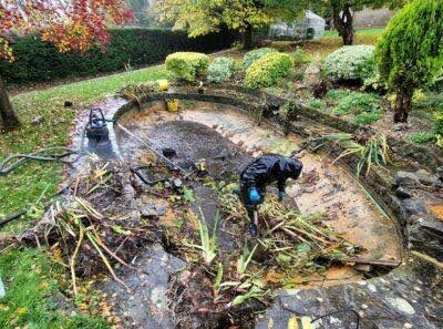 Pond Cleaning